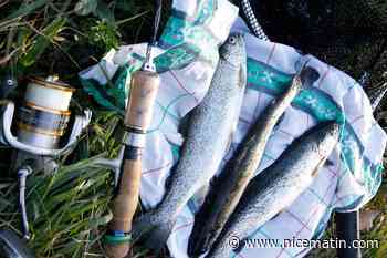 Maltraitance animale: une ONG dénonce les conditions d'élevages de truites en Pologne