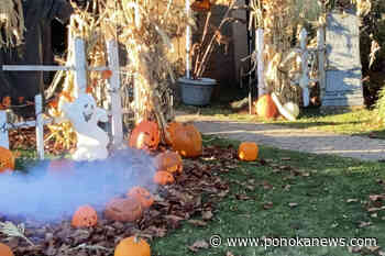 QUIZ: Are you ready for thrills and chills for Halloween?