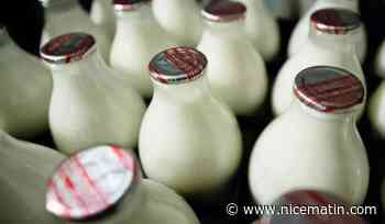 "Il faut trouver des alternatives": un collectif ambitionne d'accompagner les éleveurs qui arrêtent la production de lait et de viande