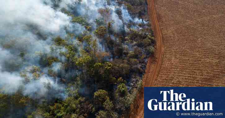 Deforestation has big impact on regional temperatures, study of Brazilian Amazon shows