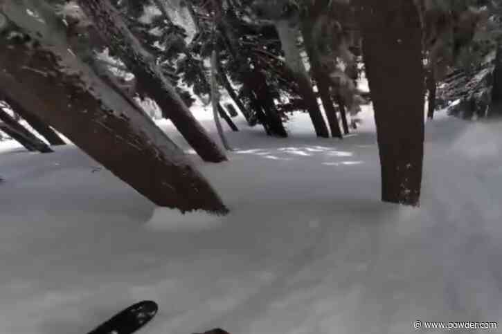 "Close Call"- Pro Skier Narrowly Avoids Trees