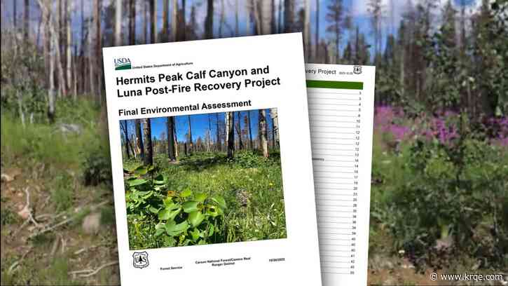 What will Hermits Peak-Calf Canyon forest restoration look like?