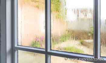 ‘You’ll be amazed!’ Best 30p solution to stop condensation ‘wreaking havoc’ on windows