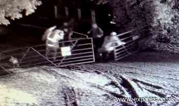 Vile yobs launch firework attack on 73 year old pensioners