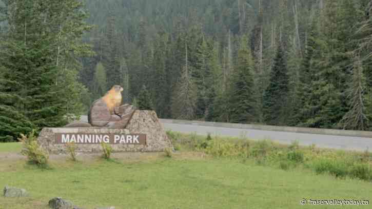 B.C. government proposes to remove 1 hectare of land from E.C. Manning Park