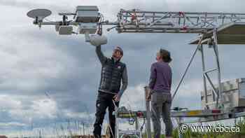 AI radar used to detect polar bears could be used for grizzly and black bears, too