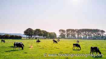 Organic Valley Announces Executive VP of Membership