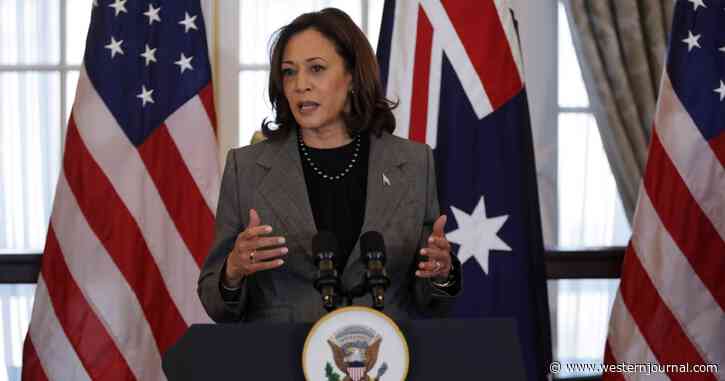 Kamala Harris Campaign Alumni Are Pushing Her for 'Immediate Ceasefire,' Accusing Israel of 'Genocide': Report