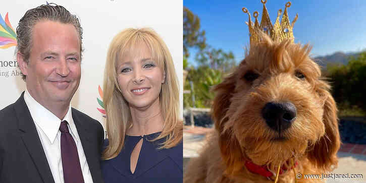 Lisa Kudrow Isn't Adopting Matthew Perry's Dog: Rumor Explained By Source