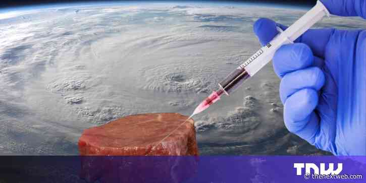 Cultivated meat is a ‘promising’ space food for astronauts, ESA says