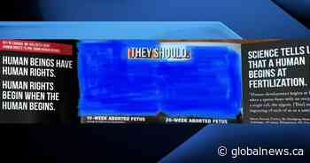 Hamilton explores bylaw requiring graphic flyers to be delivered in envelope with warning