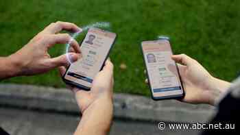 Queensland launches digital driver's licence app but users told not to download it after delays