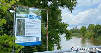 Ministry of Environment approves Hamilton extension to complete Chedoke Creek dredging