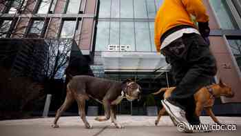 Ontario gives some teachers, education workers retroactive salary bumps as remedy to Bill 124