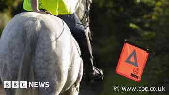 Invention could make roads safer for horse riders