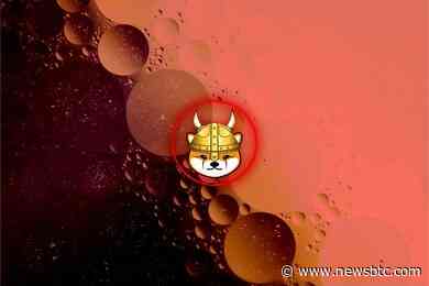 Floki Inu (FLOKI) Claps Back: Counters Bitget’s Claim Of Breaching 7-Day Listing Deadline