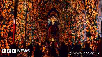 Light show to fill cathedral with sea of poppies