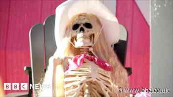 Taylor Swift and Barbie take over this Halloween