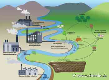 Do or dye: Synthetische Farbstoffe im Abwasser bedrohen die Nahrungskette weltweit