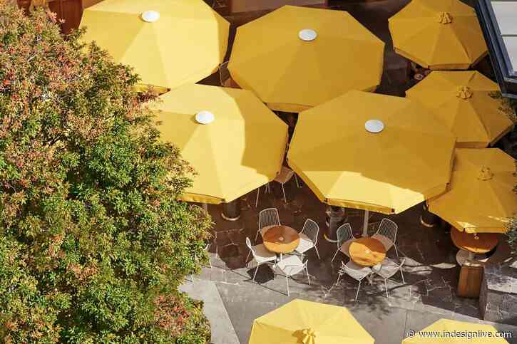 Mediterranean vibes in Hogg & Lamb’s design for Sunshine