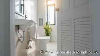 Shower revealed as dirtiest place in bathroom - How to clean