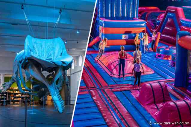 DE GRENS. Een potvis spotten, zandkastelen bouwen of springen op luchtkussen van 1.000 vierkante meter: vijf tips voor een herfstvakantiedag in Nederland