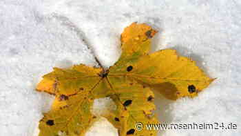 Enorme Regenmengen an den Alpen – und droht jetzt sogar eine „weiße Überraschung“?
