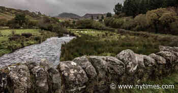 Searching for Brian Friel, and His Mythical Ballybeg