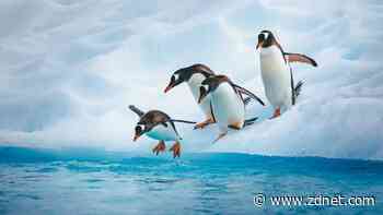 How to start, stop, and restart a service on any systemd-powered Linux distribution