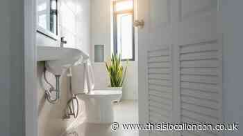 Shower revealed as dirtiest place in bathroom - How to clean