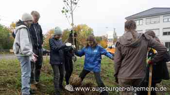 Schüler und Studenten pflanzen gemeinsam Bäume