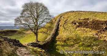 Sycamore Gap vandalism inquiry sees arrest of two more people