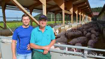 Wie Schweine-Halter Niedermaier aus Mittergars seinen Betrieb zukunftsfit gemacht hat