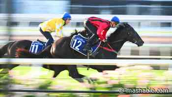 How to watch the 2023 Melbourne Cup Carnival online for free