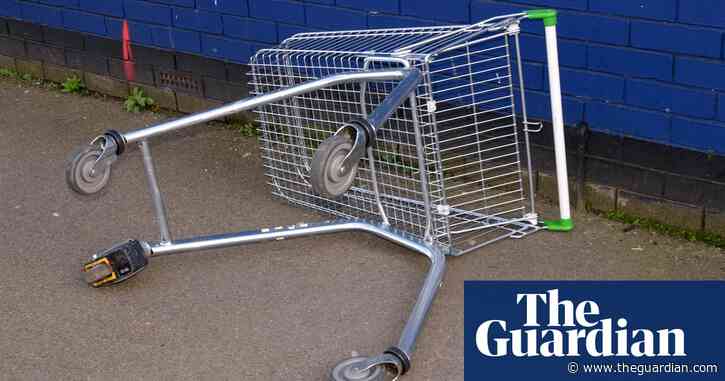 Dominic Cummings has every right to badmouth Boris Johnson. But please stop picking on shopping trolleys