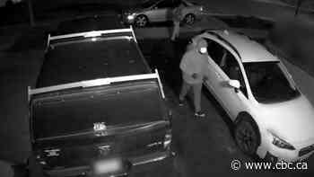 Police investigating after graffiti, skinned goat heads found at 2 Vaughan homes