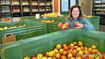 Apfelfest in Zinna: „Wellant“ ist die Sorte der Saison