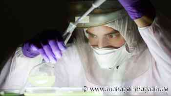 Künstliche Intelligenz: Wo Forscher KI am besten nutzen könnten