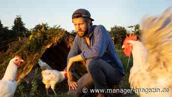 Nachhaltigkeit Beispiele: Warum Unternehmen regenerativ und nicht mehr nur nachhaltig wirtschaften wollen