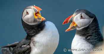 Bitget Embroiled in Bitter $10M Dispute With Floki Over TokenFi Memecoin Listing