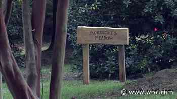 Green Burials: A Fresh Approach to Laying Loved Ones to Rest