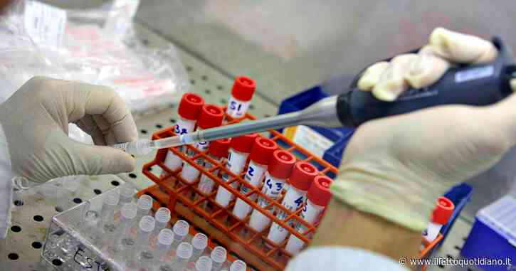 Tumore al pancreas, lo studio italiano su Nature: “Scoperto uno dei motori che lo fanno crescere”