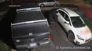 'Disturbing': Police say vandals left skinned goat heads at 2 homes in Vaughan, Ont.