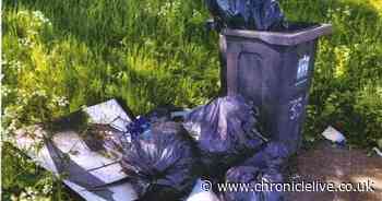 Darlington fly-tipper named and shamed after dumping waste on A66 layby