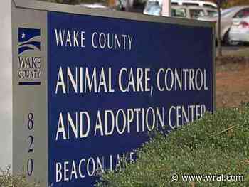 4 dogs dead in flu outbreak; Wake animal shelter to stay closed through November