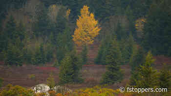 Landscape Photographers: Be the Example in Nature