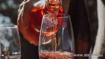 'We don't want to be the fun police,' but doctors say large health warnings for alcohol are needed