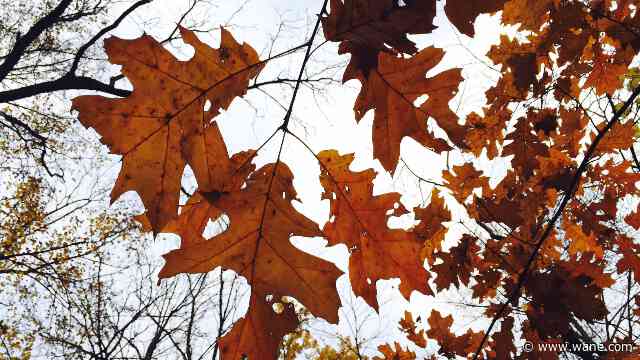 October 2023 ends with the second coldest Halloween on record