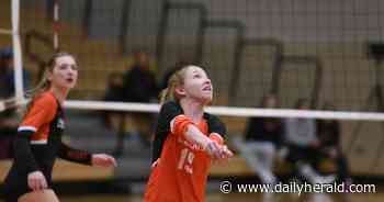 Girls volleyball: Libertyville rallies to beat Warren, win sectional title