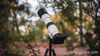 The Ultimate Aerial and Wildlife Lens? We Review the New Canon RF 200-800mm f/6.3-9 IS USM
